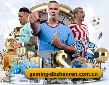 gaming-dbzhenren.com.cn的故事